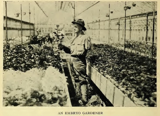 Man with one arm working in a greenhouse.