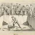 Engraving of a man in a pit with dogs and dozens of rats, some dead. A crowd of men look on.
