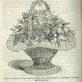 An illustration of a fruit basket received as a wedding gift.