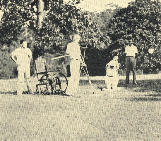 A batter stands next to a wheelchair and holds crutches while others watch.