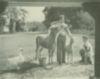 Two young men with a goose, pony, goat, and dog.