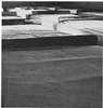 A group of closely arranged beds.