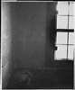 A large screened window from inside a darak room.