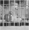 A child seen through the bars of several cribs.