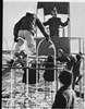 Boys playing on monkey bars.