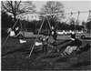 Boys on swings.