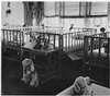 A row of hospital beds with stuffed animals and dolls.