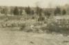 A row of men, with horses and wagons in background, work clearing the ground of debris.