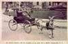 A man rides in a goat-drawn cart