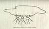 Illustration of diamond necklace that Gen. Tom Thumb gave to his wife.