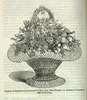 An illustration of a fruit basket received as a wedding gift.