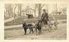 Two dogs pull a man on a wagon. A cannon is in the background.