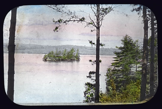 Lake with small, densely treed island, colored.