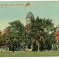 New York State School For The Blind, Batavia, New York. A large tree-shrouded building with an American flag on top.