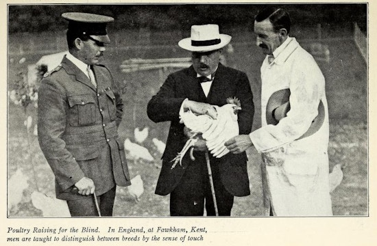 Three men, one in middle holds a chicken.