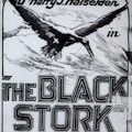 Near full page newspaper ad for The Black Stork at the LaSalle Theater.  A spread wiinged black stork flies through the air over the title.