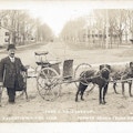 Fred Vaillancourt standing next to two dogs hitched to a wagon.