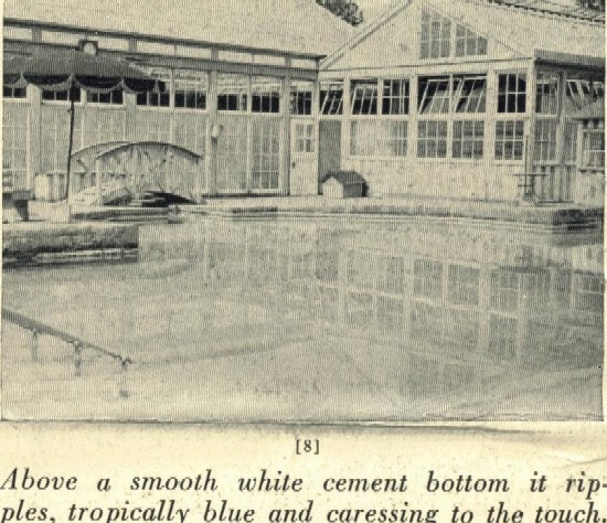 A swimming pool with an umbrella and glassed building in the background.