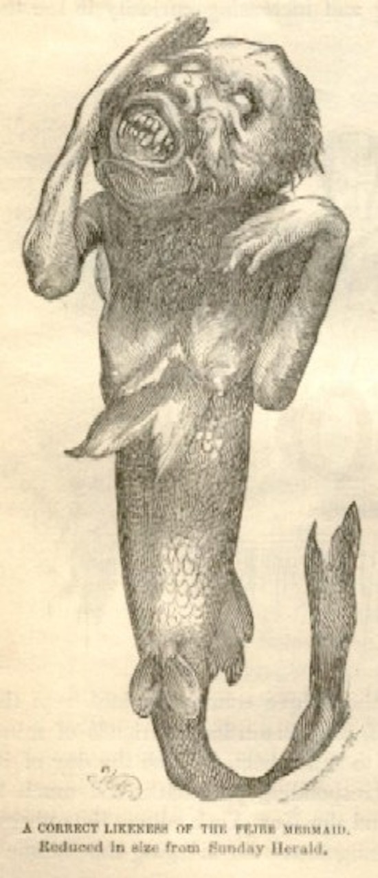 An engraving of a withered monkey torso attached to a fish tail.