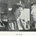 Three photographs of young adults, two in wheelchairs.