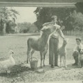 Two young men with a goose, pony, goat, and dog.