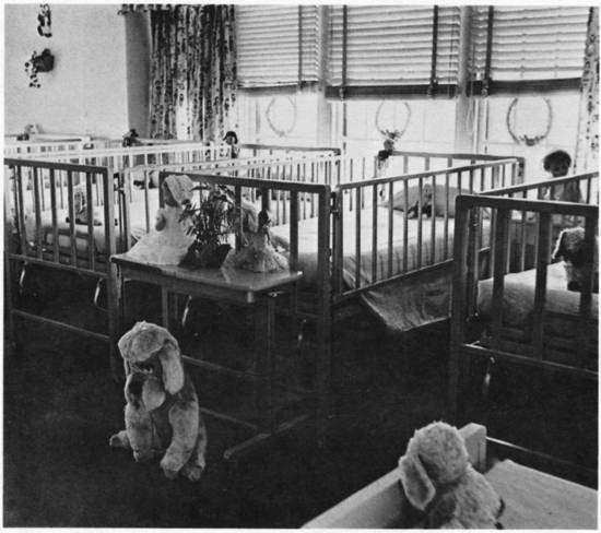 A row of hospital beds with stuffed animals and dolls.