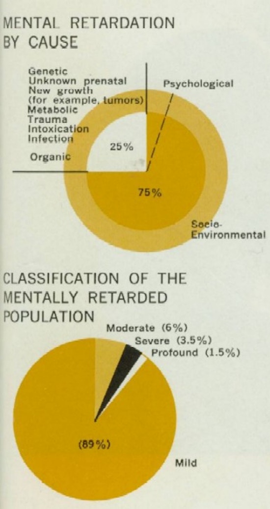 Pie charts displaying percentages of causes and classifications of mental retardation.