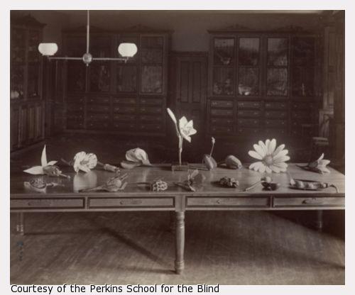 Table covered with tactile models of fruits and flowers for a botany lesson at Perkins Institution and Massachusetts School for the Blind, South Boston.
