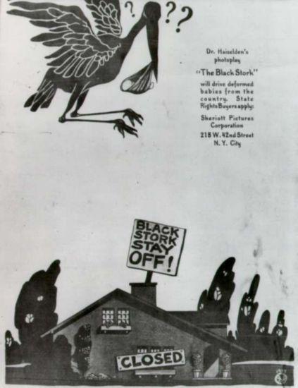 Water color of a black stork with a baby flying over a home with boarded up windows and a sign on the roof reading "Black Stork Stay Off"