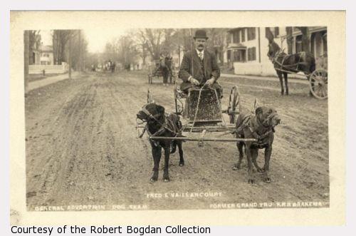 A man in a wagon is pulled by two dogs along a dirt street.